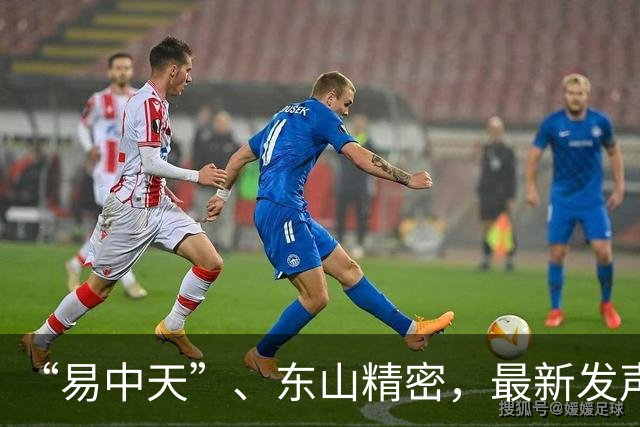 “易中天”、东山精密，最新发声！