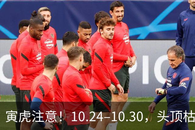 寅虎注意！10.24–10.30，头顶枯藤将断，有贵人伸手拉你一把
