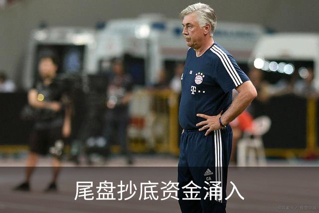 尾盘抄底资金涌入