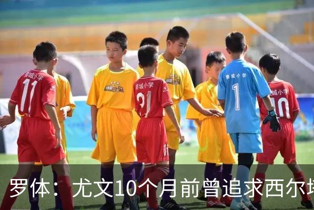 罗体：尤文10个月前曾追求西尔塔宁，如今他在尤尔加登踢核心