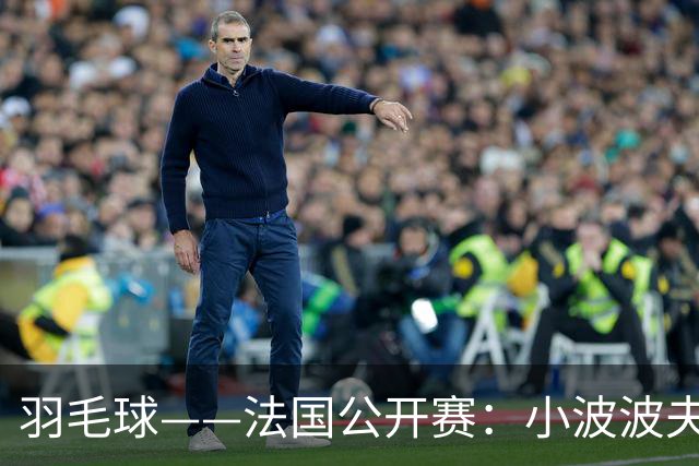 羽毛球——法国公开赛：小波波夫男单夺冠