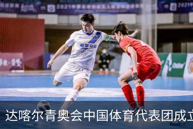 达喀尔青奥会中国体育代表团成立