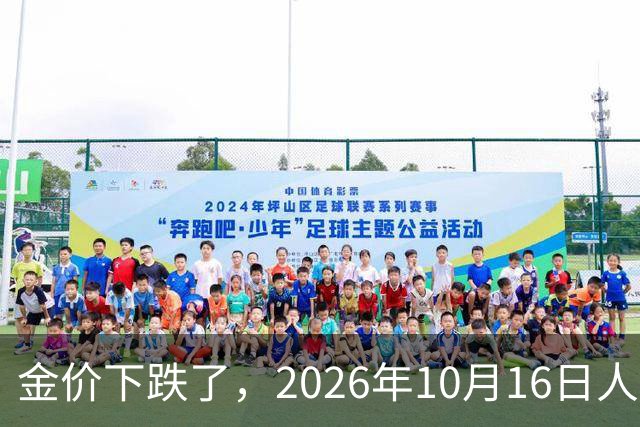 金价下跌了，2026年10月16日人民币与国内黄金的最新报价一览